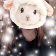 ヒメ日記 2026/01/22 09:44 投稿 みほ トマトなび