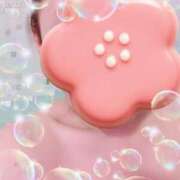 ヒメ日記 2026/01/29 08:32 投稿 みほ トマトなび