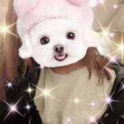 ヒメ日記 2026/03/03 10:21 投稿 みほ トマトなび