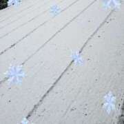 ヒメ日記 2026/03/10 10:15 投稿 みほ トマトなび