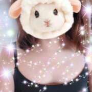 ヒメ日記 2026/03/16 10:28 投稿 みほ トマトなび