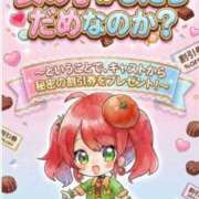 ヒメ日記 2026/03/19 10:00 投稿 みほ トマトなび