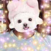 みほ 16日　よろしくお願いします トマトなび