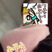 ヒメ日記 2024/12/19 06:33 投稿 もも トマトなび