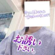 ヒメ日記 2024/12/19 07:56 投稿 もも トマトなび