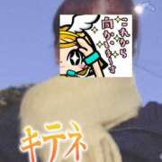 ヒメ日記 2024/12/20 06:32 投稿 もも トマトなび