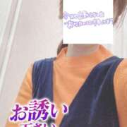 ヒメ日記 2024/12/20 07:44 投稿 もも トマトなび