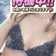 ヒメ日記 2024/12/20 11:02 投稿 もも トマトなび