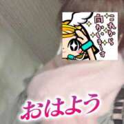 ヒメ日記 2024/12/21 06:25 投稿 もも トマトなび