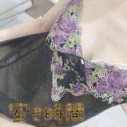 ヒメ日記 2024/12/21 07:45 投稿 もも トマトなび