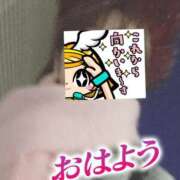 ヒメ日記 2024/12/22 06:24 投稿 もも トマトなび