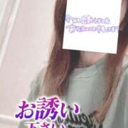 ヒメ日記 2024/12/27 07:38 投稿 もも トマトなび