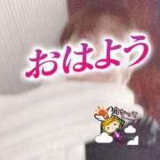 ヒメ日記 2024/12/28 06:22 投稿 もも トマトなび