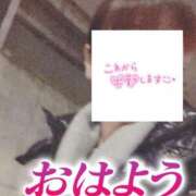 ヒメ日記 2025/01/03 06:21 投稿 もも トマトなび