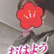 ヒメ日記 2025/01/04 06:18 投稿 もも トマトなび