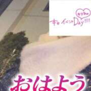 ヒメ日記 2025/01/05 06:19 投稿 もも トマトなび