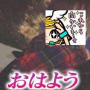 ヒメ日記 2025/01/13 06:23 投稿 もも トマトなび