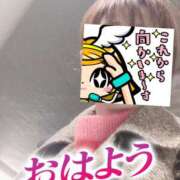 ヒメ日記 2025/01/20 06:21 投稿 もも トマトなび