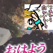 ヒメ日記 2025/01/21 06:31 投稿 もも トマトなび