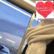 ヒメ日記 2025/01/27 06:53 投稿 もも トマトなび