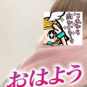 ヒメ日記 2025/02/02 06:24 投稿 もも トマトなび