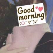 ヒメ日記 2025/02/04 06:21 投稿 もも トマトなび