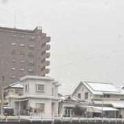 ヒメ日記 2025/02/05 12:34 投稿 もも トマトなび