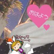 ヒメ日記 2025/02/06 06:19 投稿 もも トマトなび