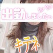 ヒメ日記 2025/02/06 07:44 投稿 もも トマトなび