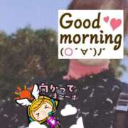 ヒメ日記 2025/02/13 06:18 投稿 もも トマトなび