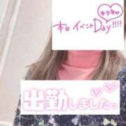 ヒメ日記 2025/02/13 07:46 投稿 もも トマトなび