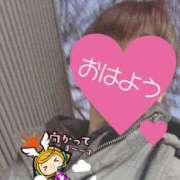 ヒメ日記 2025/02/14 06:19 投稿 もも トマトなび