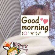 ヒメ日記 2025/02/15 06:24 投稿 もも トマトなび