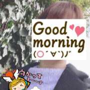 ヒメ日記 2025/02/17 06:33 投稿 もも トマトなび