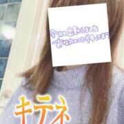 ヒメ日記 2025/02/17 07:51 投稿 もも トマトなび