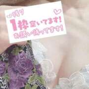 ヒメ日記 2025/02/17 11:44 投稿 もも トマトなび