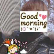 ヒメ日記 2025/02/20 06:19 投稿 もも トマトなび