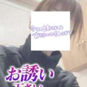 ヒメ日記 2025/02/20 07:46 投稿 もも トマトなび