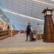 ヒメ日記 2025/02/24 22:30 投稿 もも トマトなび