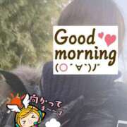 ヒメ日記 2025/02/25 06:19 投稿 もも トマトなび