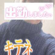 ヒメ日記 2025/02/25 07:40 投稿 もも トマトなび