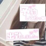 ヒメ日記 2025/02/28 07:43 投稿 もも トマトなび