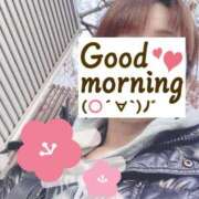 ヒメ日記 2025/03/01 06:22 投稿 もも トマトなび