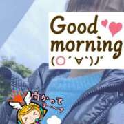 ヒメ日記 2025/03/06 06:19 投稿 もも トマトなび