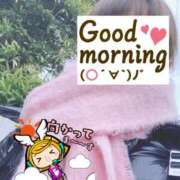 ヒメ日記 2025/03/08 06:17 投稿 もも トマトなび