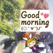 ヒメ日記 2025/03/13 10:28 投稿 もも トマトなび