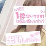 ヒメ日記 2025/03/13 11:37 投稿 もも トマトなび