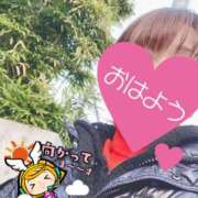 ヒメ日記 2025/03/17 06:18 投稿 もも トマトなび