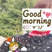 ヒメ日記 2025/03/18 06:26 投稿 もも トマトなび