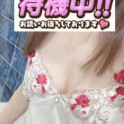 ヒメ日記 2025/03/18 12:12 投稿 もも トマトなび